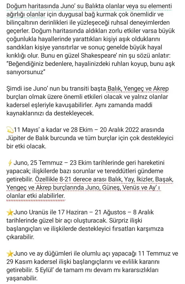juno1 (2).webp