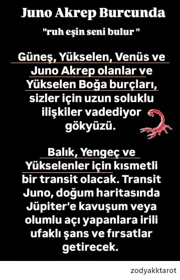 junoAKR.webp