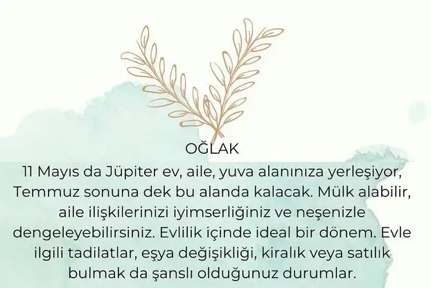 jüp (10).webp