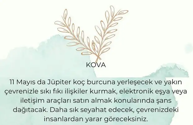 jüp (11).webp