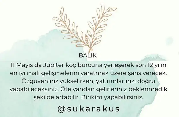 jüp (12).webp