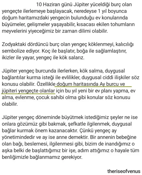 jüp (2).webp