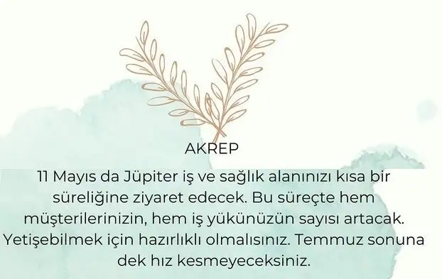 jüp (8).webp