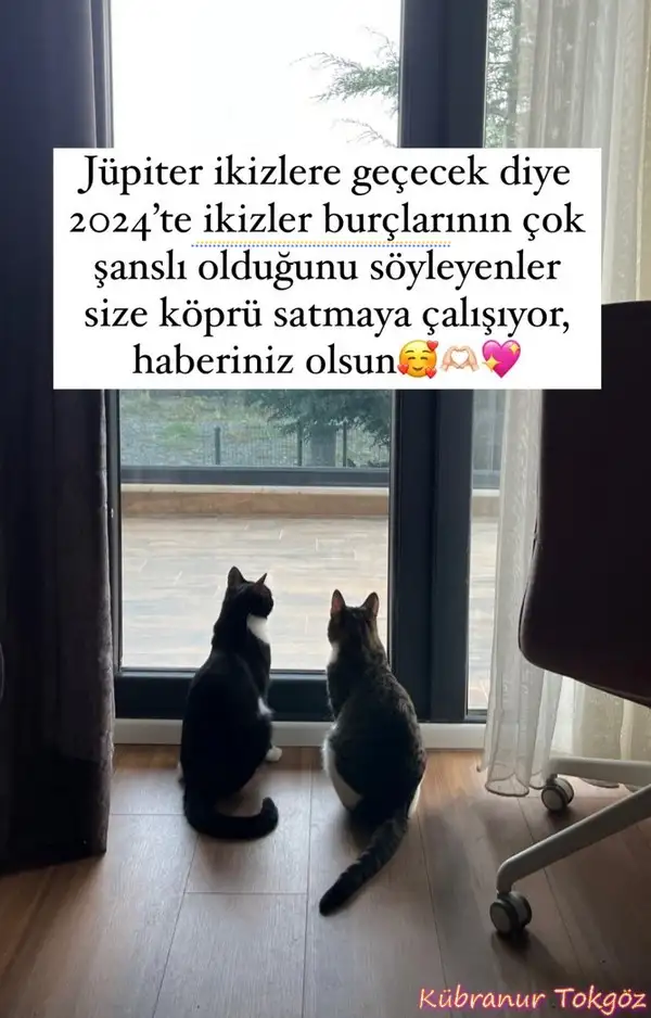 jüp ik7.webp