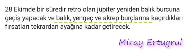 jüp.webp