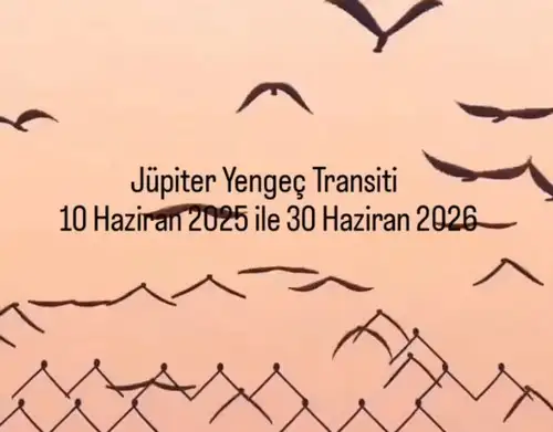 jüp yengeç2 (1).webp
