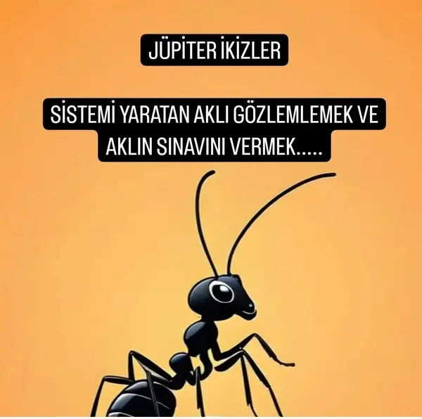 jüp2 (1).webp