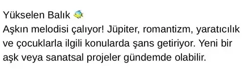 jüp45 (12).webp