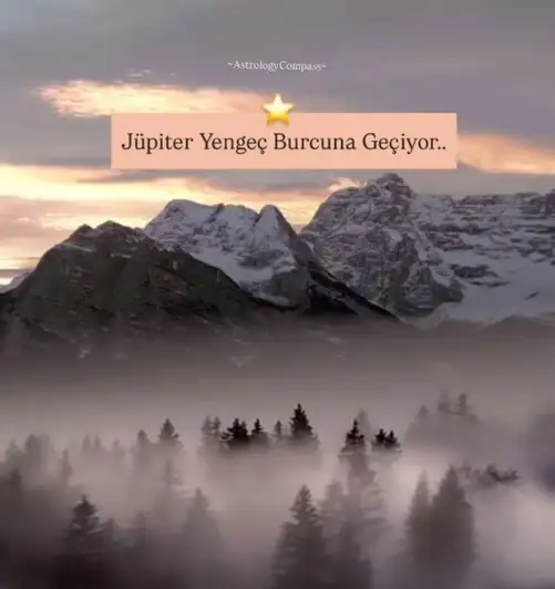 jüp47 (1).webp