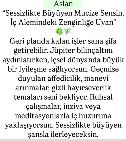 jüp63 (6).webp