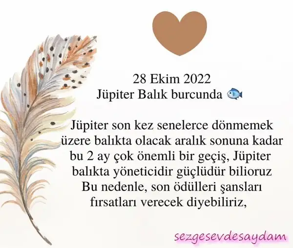 jüpi balık1 (1).webp