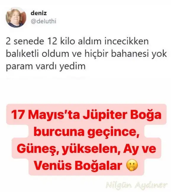 jüpi boğa.webp