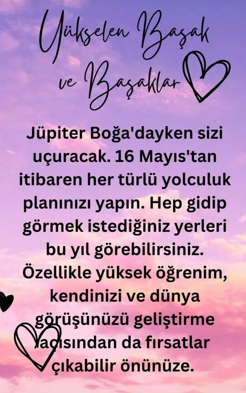 jüpi boğa1 (7).webp