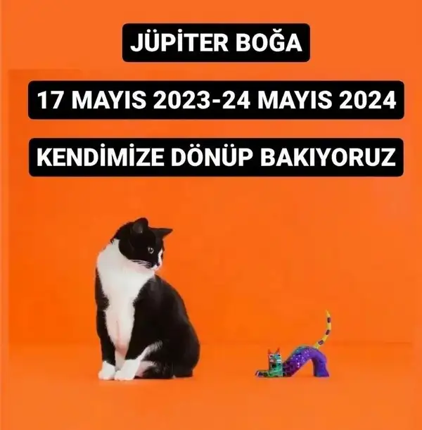 jüpi boğa90 (1).webp