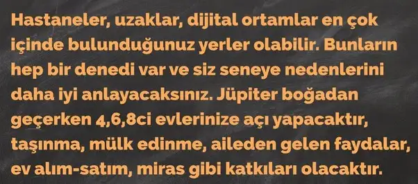 jüpi boğa90 (28).webp