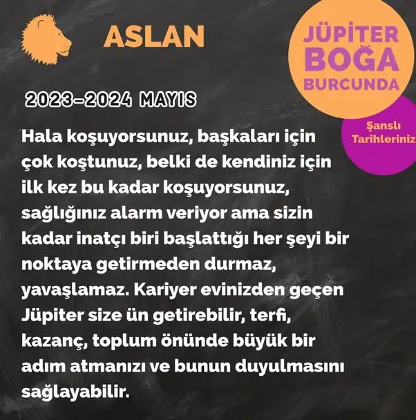 jüpi boğa90 (35).webp