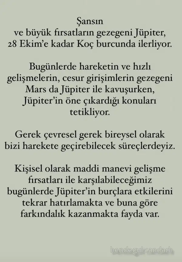 jüpi koç.webp
