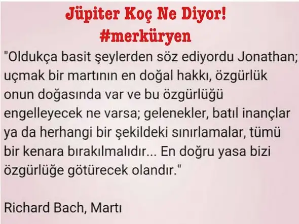 jüpi koç.webp