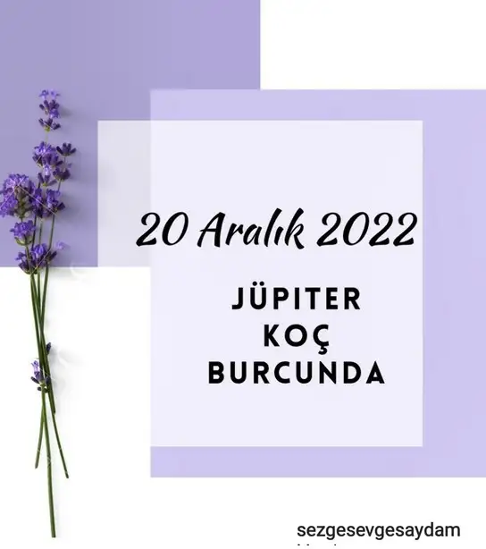 jüpi koç1 (1).webp
