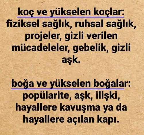 jüpi koç1 (2).webp