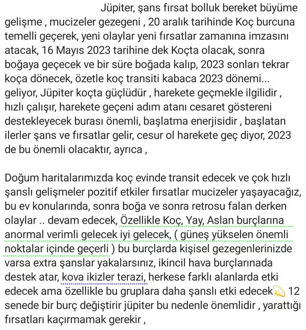 jüpi koç1 (2).webp
