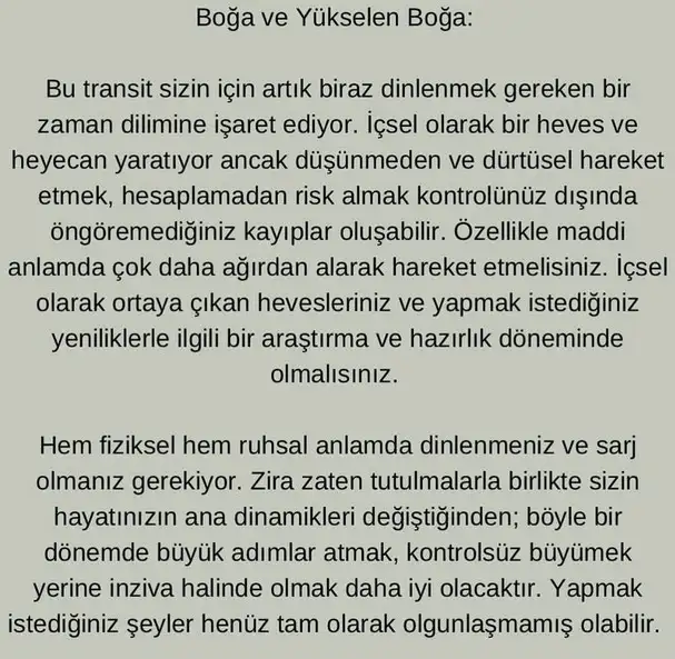 jüpi koç1 (3).webp