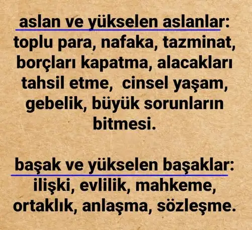 jüpi koç1 (4).webp