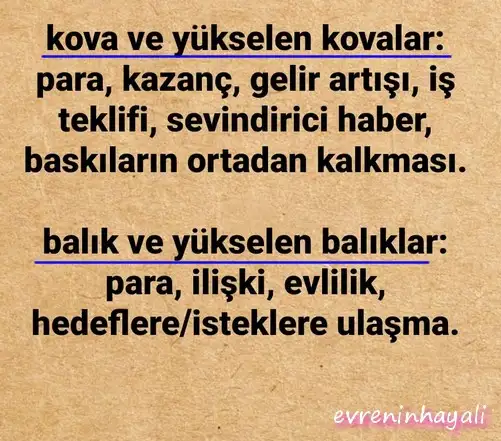 jüpi koç1 (9).webp