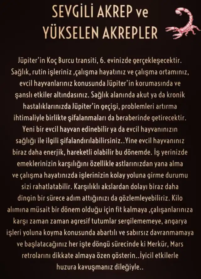 jüpi koç16 (10).webp
