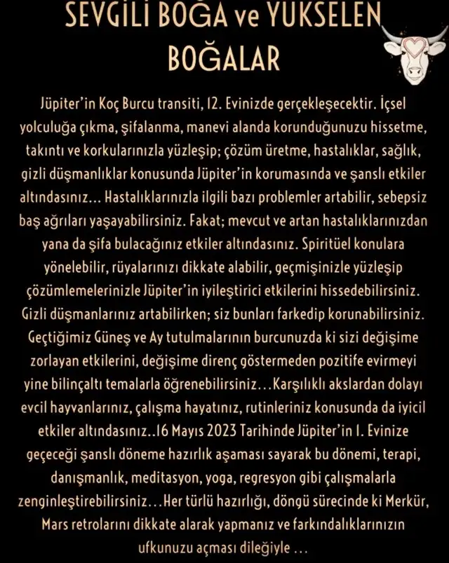 jüpi koç16 (3).webp