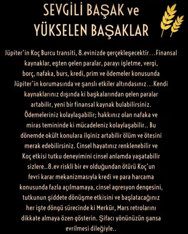 jüpi koç16 (7).webp