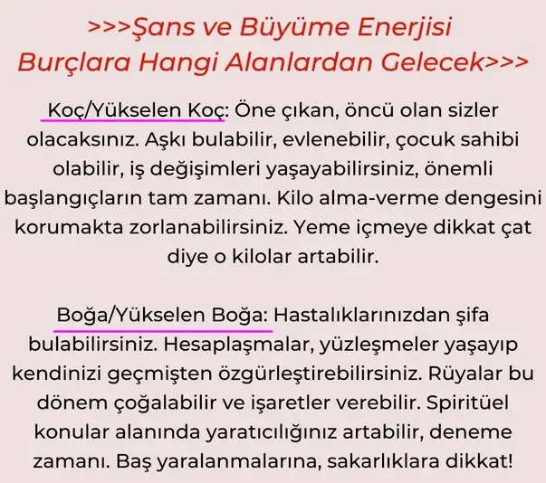 jüpi koç29 (2).webp