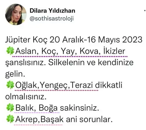 jüpi koç3 - Kopya.webp