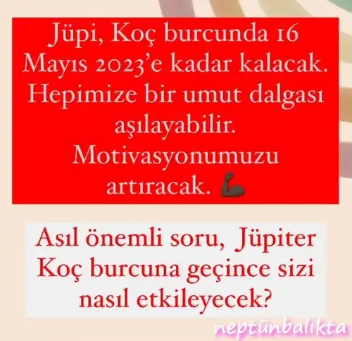 jüpi koç5 (1).webp
