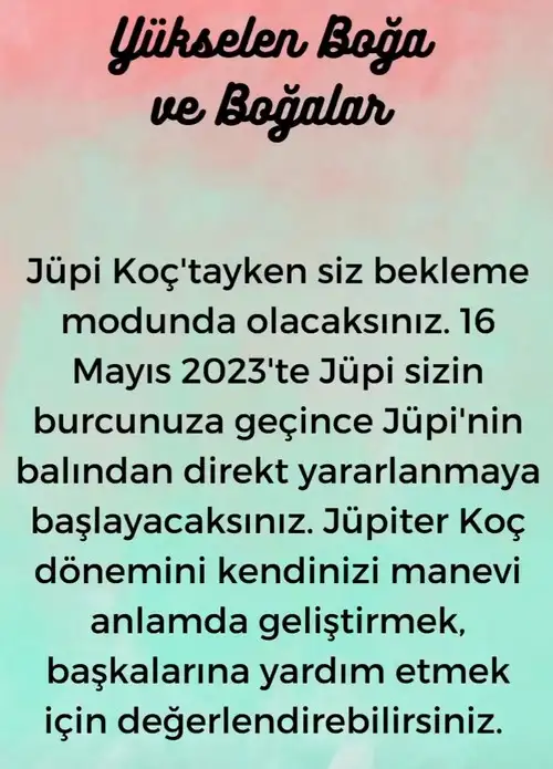 jüpi koç5 (3).webp