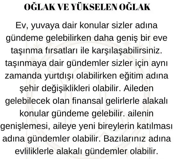 jüpi koç6 (11).webp