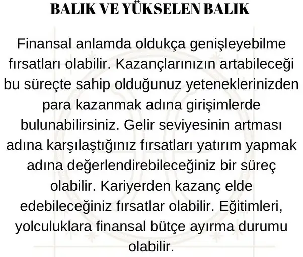 jüpi koç6 (13).webp