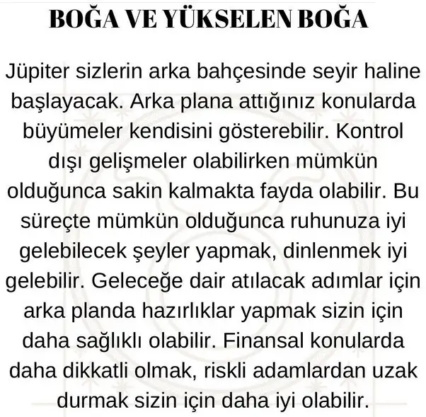 jüpi koç6 (3).webp