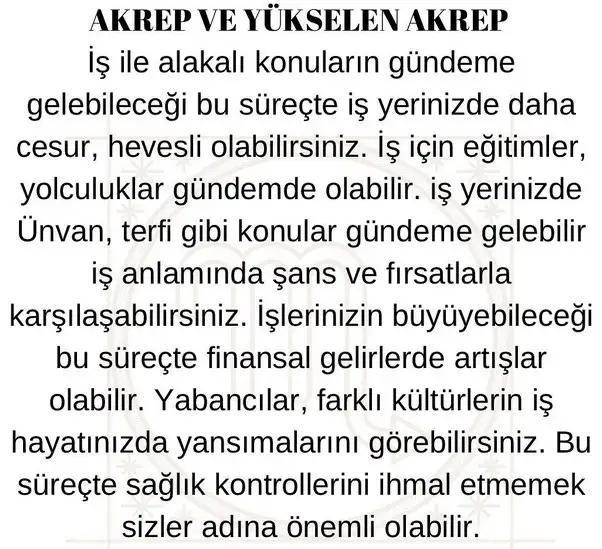 jüpi koç6 (9).webp