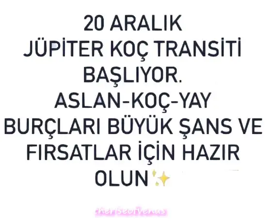 jüpi koç6.webp