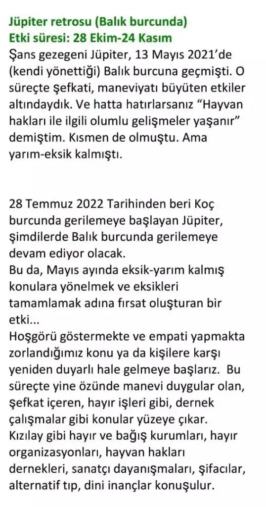 jüpi ret (1).webp