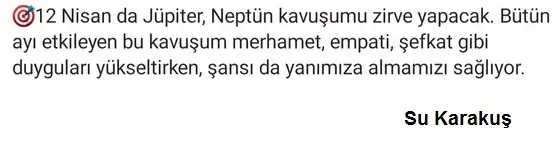 jüpi.webp