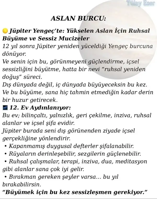 jüpi yengeç11 (12).webp
