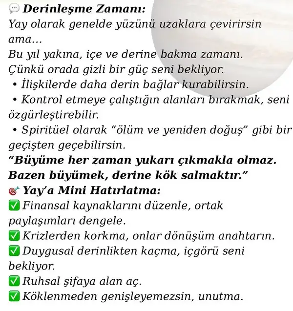 jüpi yengeç11 (21).webp