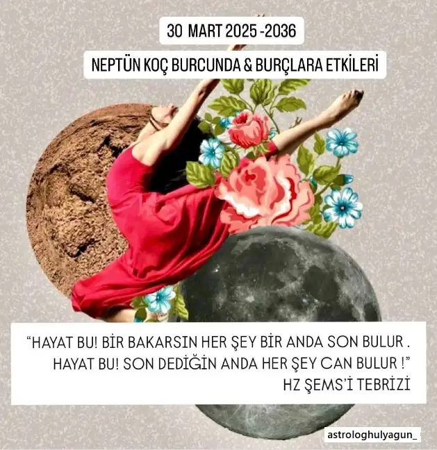 jüpi yengeçte555 (2).webp