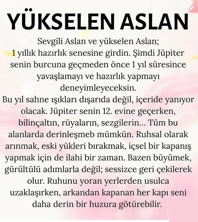 jüpi yengeçte555 (5).webp