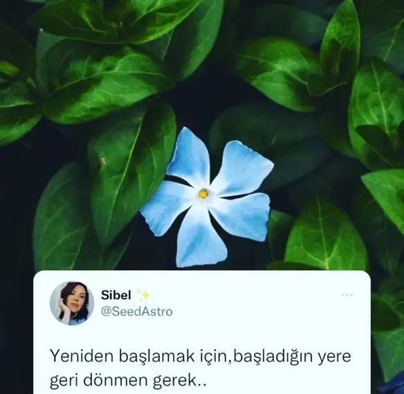 jüpi0 (1).webp