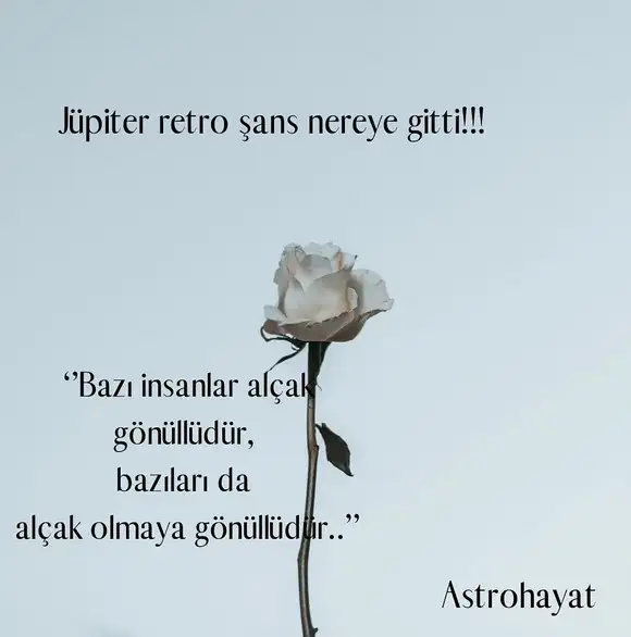 jüpi19 (1).webp