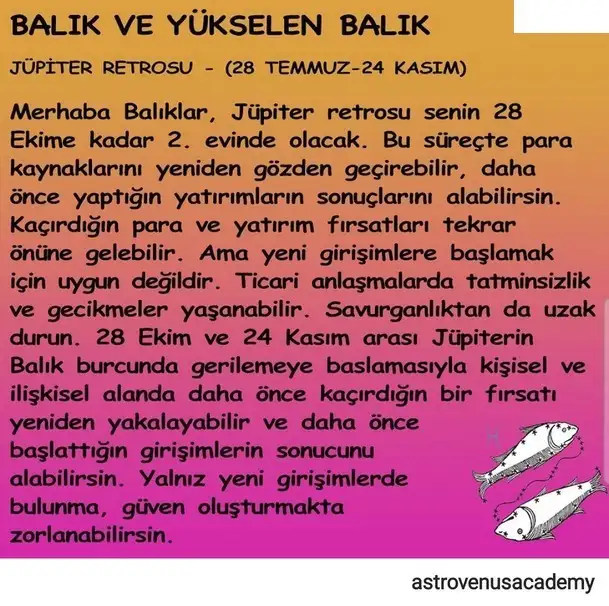 jüpi2 (12).webp