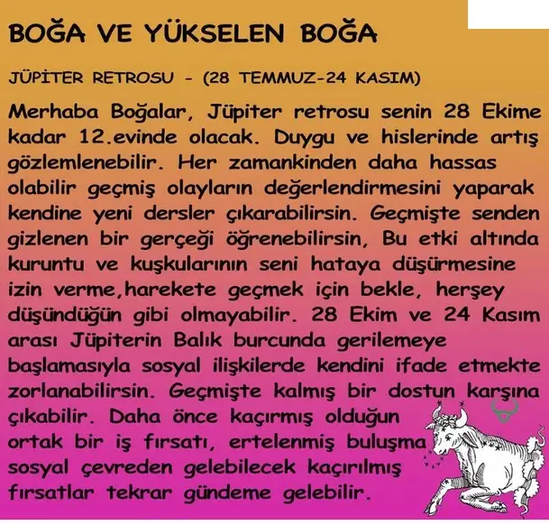jüpi2 (2).webp